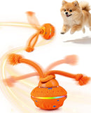 Interactive Automatic Dog Ball with 3 Modes, RGB LED Lights, Bird Sounds & USB-C Rechargeable