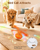 Interactive Automatic Dog Ball with 3 Modes, RGB LED Lights, Bird Sounds & USB-C Rechargeable