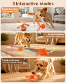 Interactive Automatic Dog Ball with 3 Modes, RGB LED Lights, Bird Sounds & USB-C Rechargeable