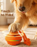 Interactive Automatic Dog Ball with 3 Modes, RGB LED Lights, Bird Sounds & USB-C Rechargeable