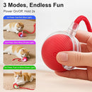 Interactive Automatic Rolling Chase Ball Toy for Cats & Dogs with Touch Activation & USB Charging