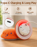 Interactive Automatic Dog Ball with 3 Modes, RGB LED Lights, Bird Sounds & USB-C Rechargeable