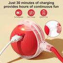 Interactive Automatic Rolling Chase Ball Toy for Cats & Dogs with Touch Activation & USB Charging