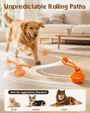 Interactive Automatic Dog Ball with 3 Modes, RGB LED Lights, Bird Sounds & USB-C Rechargeable