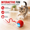 Interactive Automatic Rolling Chase Ball Toy for Cats & Dogs with Touch Activation & USB Charging