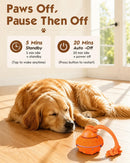 Interactive Automatic Dog Ball with 3 Modes, RGB LED Lights, Bird Sounds & USB-C Rechargeable