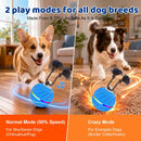 Smart Interactive Dog Ball for Aggressive Chewers, E-TPU Automatic Rolling Toy with RGB Light