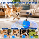 Smart Interactive Dog Ball for Aggressive Chewers, E-TPU Automatic Rolling Toy with RGB Light